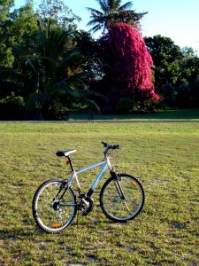Bike and large pink thing