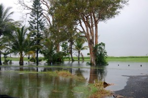 Cyclone Ellie flooding