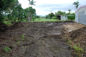 Cleared land
